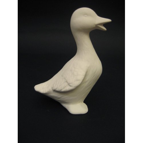 canard_09-038-2 canard_09-038-2