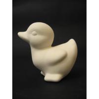 canard_09-043-3 .jpg