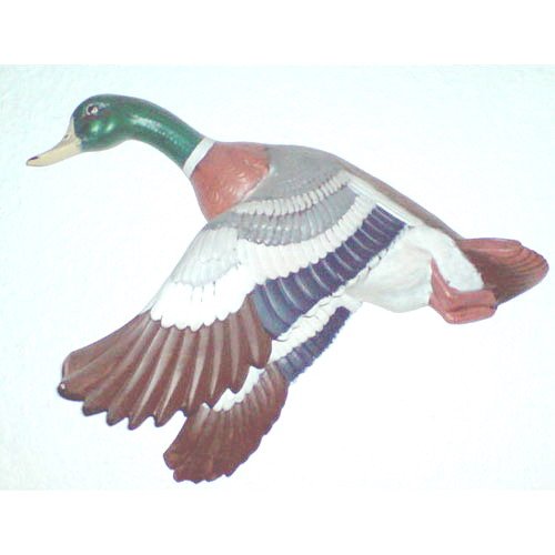 canard_09-061b canard_09-061b