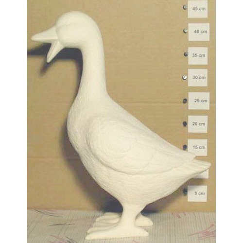 canard_09-067 canard_09-067