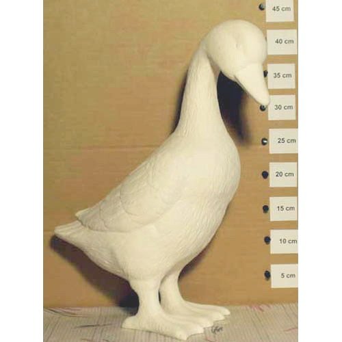 canard_09-068 canard_09-068