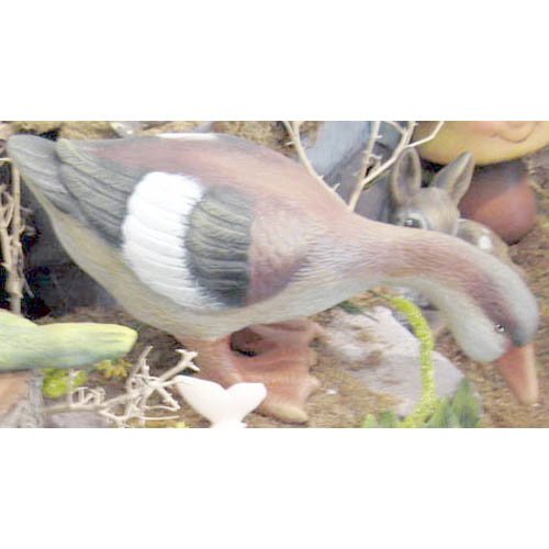 canard_09-069b-1 canard_09-069b-1