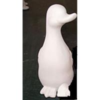 canard_09-097-1 .jpg