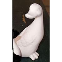 canard_09-097-2 .jpg