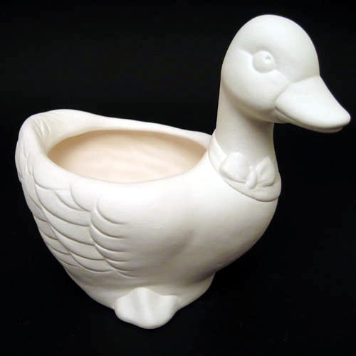 canard_n152-1 canard_n152-1