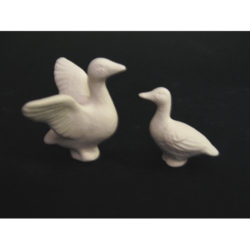 canards_09-050-1 canards_09-050-1