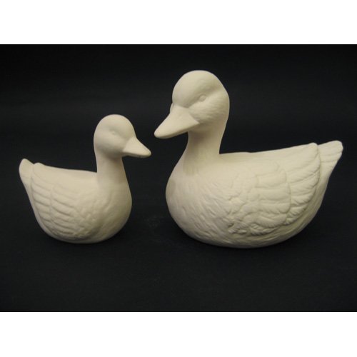 canards_09-102-1_09-099