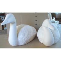 canards_09-120-1_09-120-2