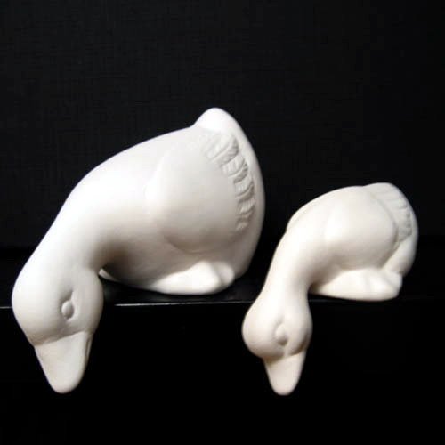 pl_canards_n110_n111