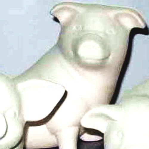 cochon_11-042-2 cochon_11-042-2