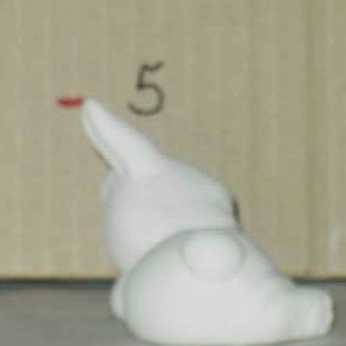 lapin_05-038-2