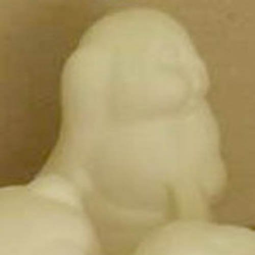 lapin_05-041-5 lapin_05-041-5