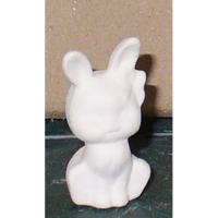 lapin_05-110-1