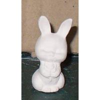 lapin_05-110-4