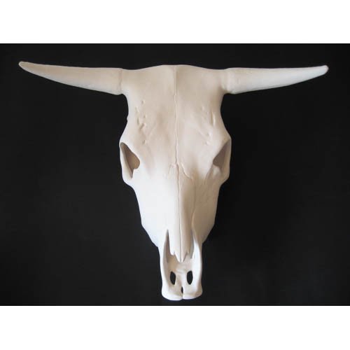 vache_13-072 vache_13-072