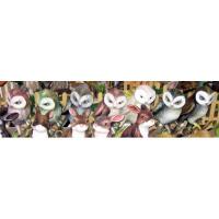 pl_chouettes_10-002b_lievres_05-001b