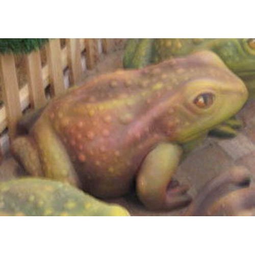 grenouille_03-003b