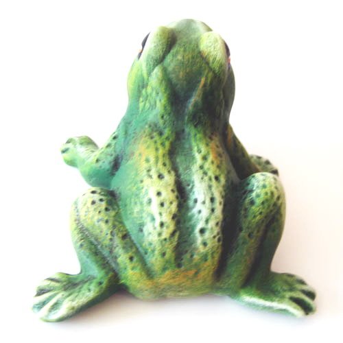 grenouille_03-004b-3 grenouille_03-004b-3