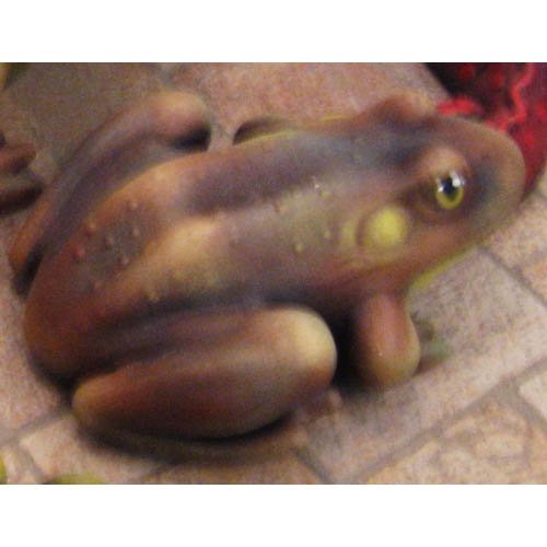 grenouille_03-005b-2 grenouille_03-005b-2