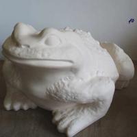 grenouille_03-030