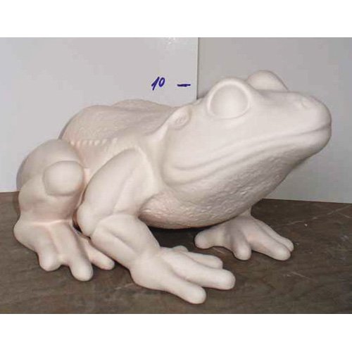 grenouille_03-034 grenouille_03-034