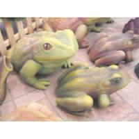 pl_grenouilles_03-003b-1_03-005b-1