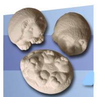 herissons_n226-1_n226-2_n226-3