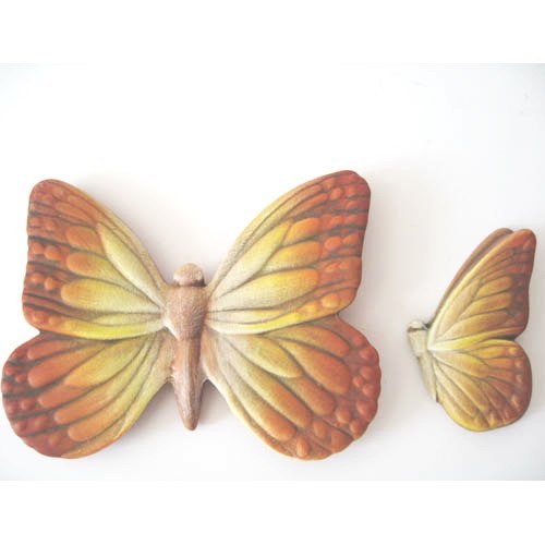 insecte_10-034b insecte_10-034b