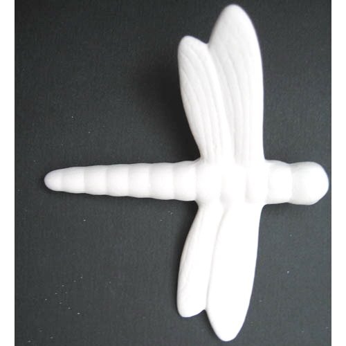 insecte_10-071-1 insecte_10-071-1