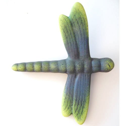 insecte_10-071-1b insecte_10-071-1b