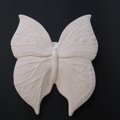 insecte_10-084 insecte_10-084