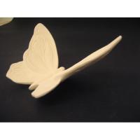 insecte_10-120 profil.jpg