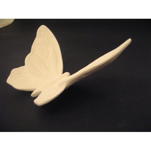 insecte_10-120 profil.jpg insecte_10-120 profil.jpg