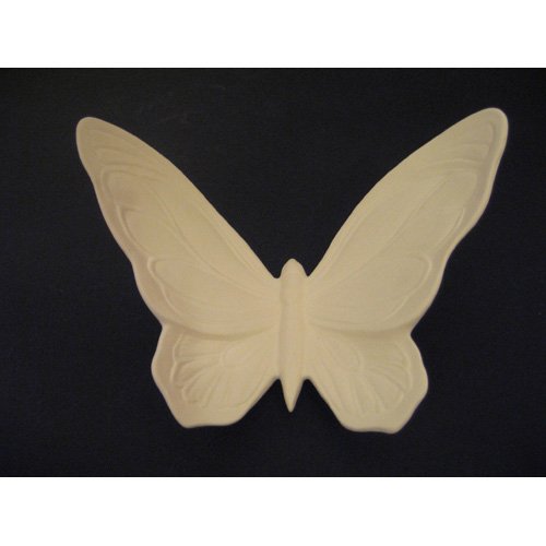 insecte_10-120 insecte_10-120