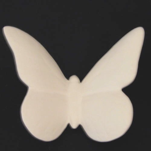 insecte_n142-2 insecte_n142-2