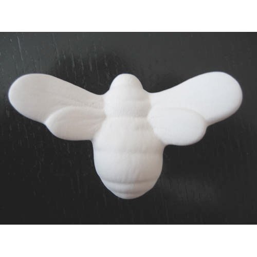 insecte_n158 insecte_n158