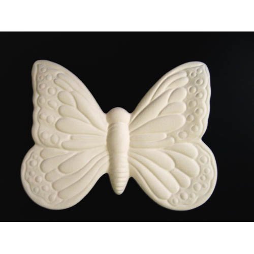 insecte_n234 insecte_n234