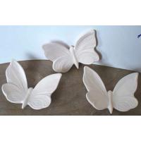 pl_insectes_10-119-1_10-119-2_10-119-3