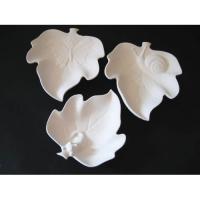 pl_insectes_12-011-1_12-011-2_12-011-3