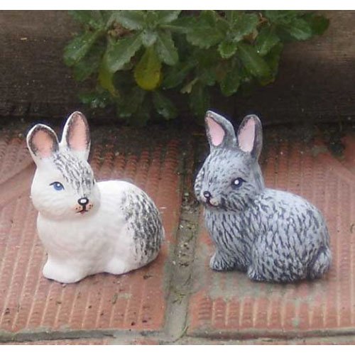 lievre_05-024b1-05-024b2