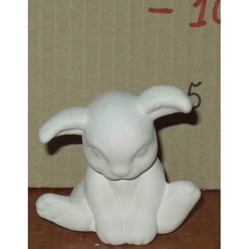 lievre_05-031 lievre_05-031