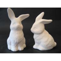 lievres_05-087-1_05-087-2