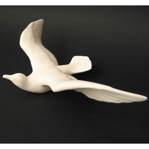 oiseau_10-023 oiseau_10-023