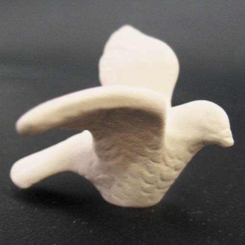 oiseau_10-027-1 oiseau_10-027-1