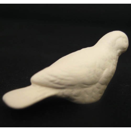 oiseau_10-027-5 oiseau_10-027-5