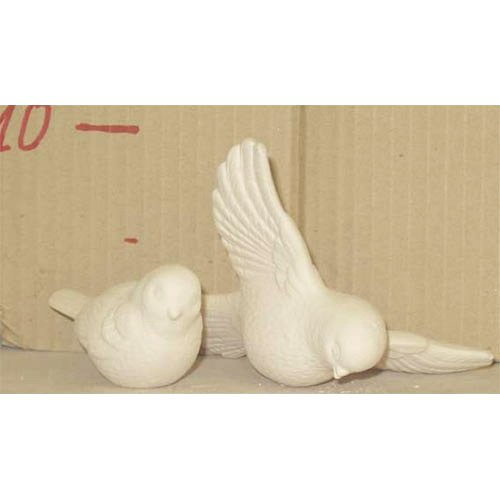 pl_oiseaux_10-029-1_10-029-2 pl_oiseaux_10-029-1_10-029-2