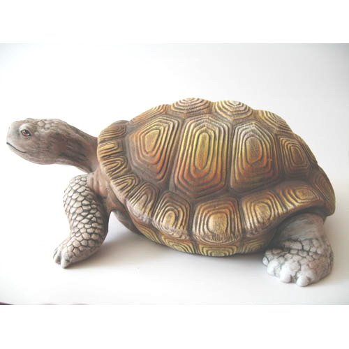 tortue_11-027b