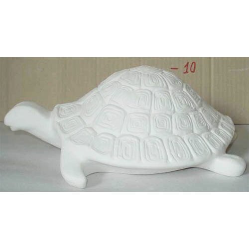 tortue_11-028