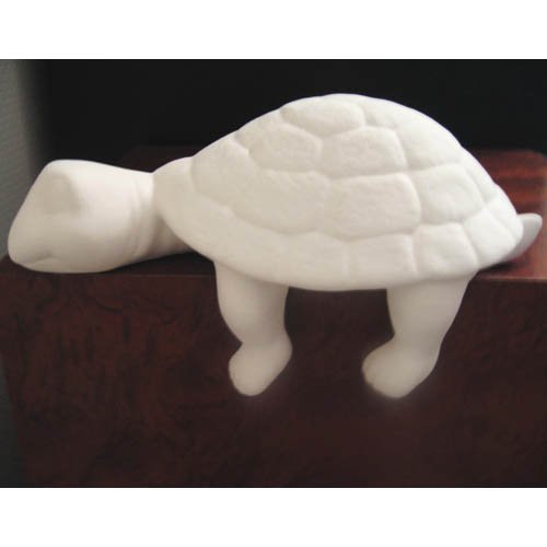 tortue_11-031