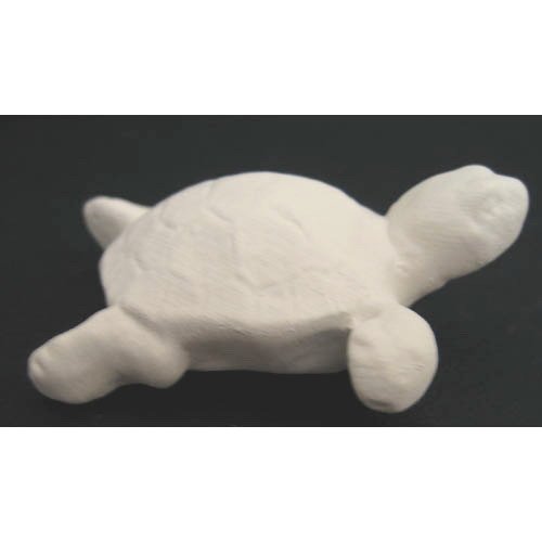 tortue_11-032